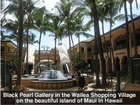 Black Pearl Gallery in Maui